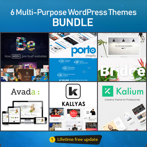 6 Multi-Purpose WordPress Themes - BUNDLE - Download $14.49