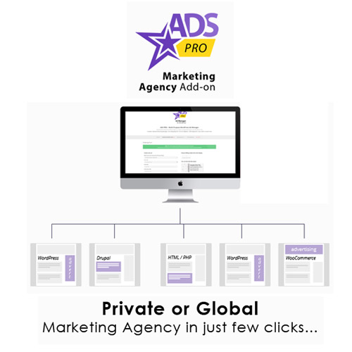 Ads Pro Add-on - WordPress Marketing Agency - Download $4.49