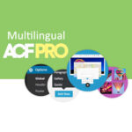 Advanced Custom Fields Multilingual - Download $4.49