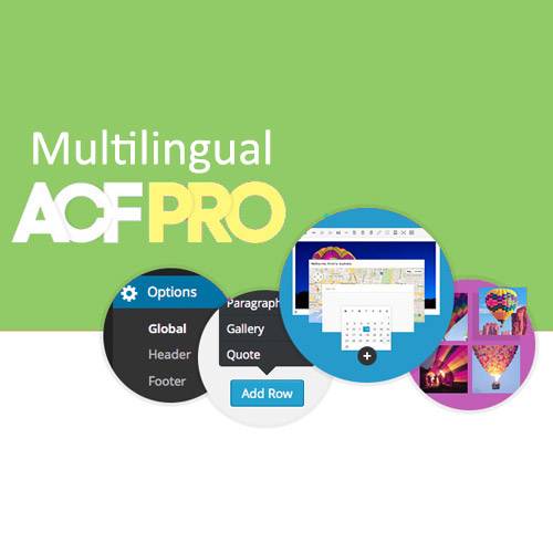 Advanced Custom Fields Multilingual - Download $4.49