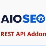 AIOSEO REST API Addon GPL v1.0.9