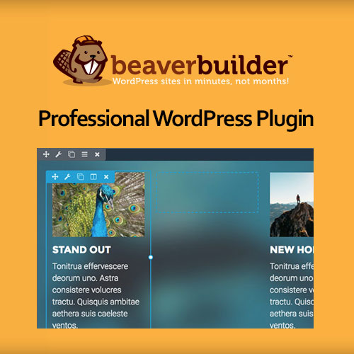 Beaver Builder Professional WordPress Plugin - Download $4.49