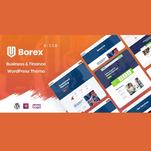 Borex - Business And Finance WordPress Theme - Download $4.49