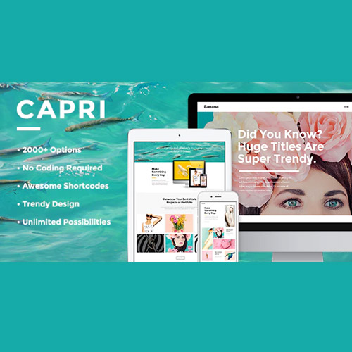 Capri - A Hot Multi-Purpose Theme - Download $4.49