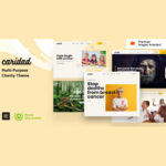 Caridad - Charity WordPress Theme - Download $4.49