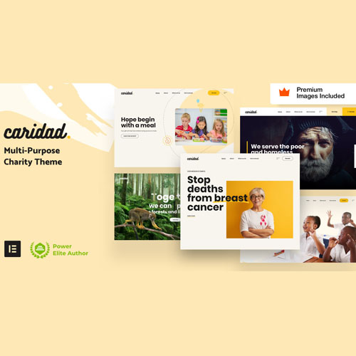 Caridad - Charity WordPress Theme - Download $4.49