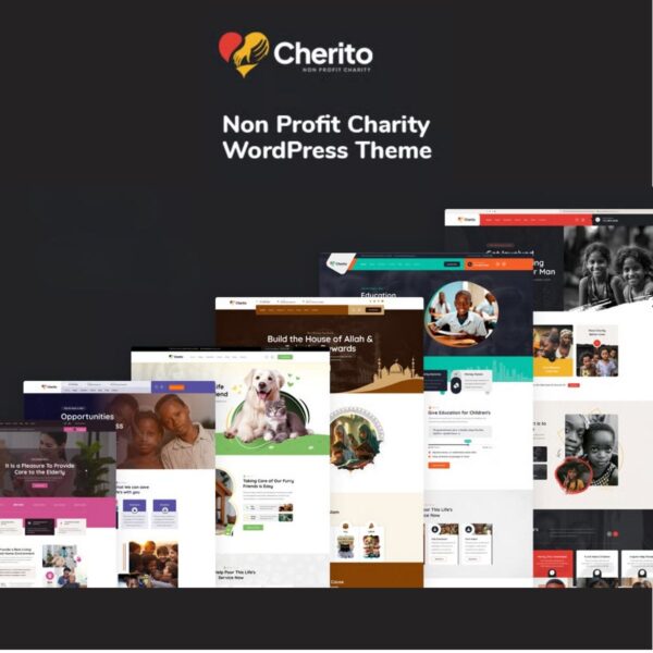 Cherito - Non Profit Charity WordPress Theme $4.49
