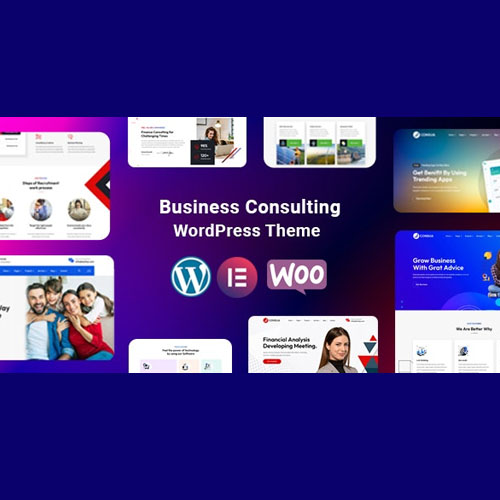 Consua - Business Consulting WordPress - Download $4.49