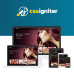 CSS Igniter Beaute WordPress Theme - Download $4.49