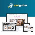 CSS Igniter Brittany WordPress Theme - Download $4.49