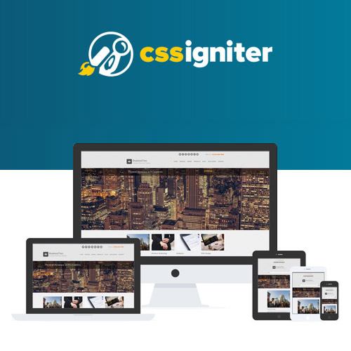 CSS Igniter BusinessTwo WordPress Theme - Download $4.49