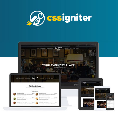 CSS Igniter Carbone WordPress Theme - Download $4.49