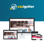CSS Igniter Medi WordPress Theme - Download $4.49