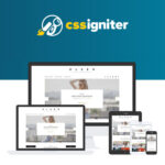CSS Igniter Olsen WordPress Theme - Download $4.49