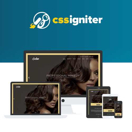 CSS Igniter Salon WordPress Theme - Download $4.49