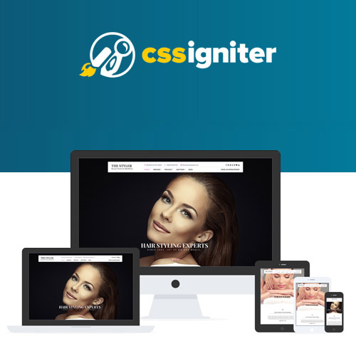 CSS Igniter The Styler WordPress Theme - Download $4.49