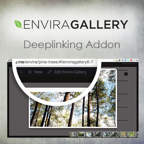 Envira Gallery - Deeplinking Addon - Download $4.49