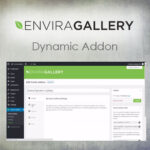 Envira Gallery - Dynamic Addon - Download $4.49