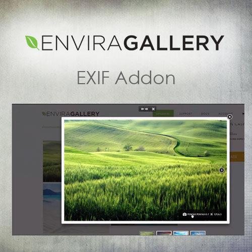Envira Gallery - EXIF Addon - Download $4.49