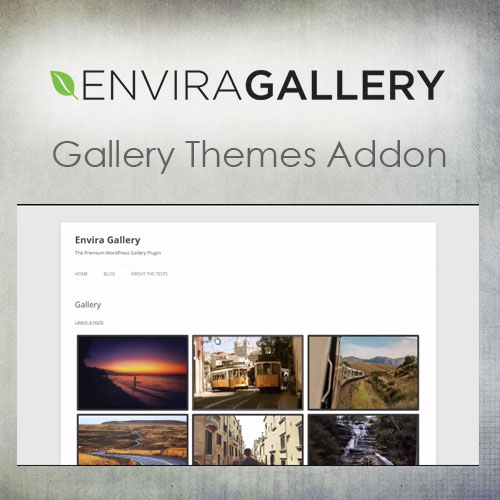 Envira Gallery - Gallery Themes Addon - Download $4.49