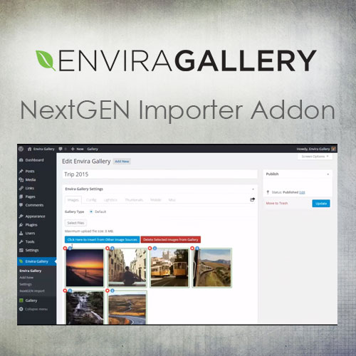Envira Gallery - NextGEN Importer Addon - Download $4.49