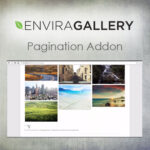 Envira Gallery - Pagination Addon - Download $4.49