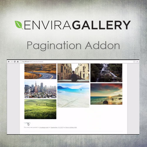 Envira Gallery - Pagination Addon - Download $4.49