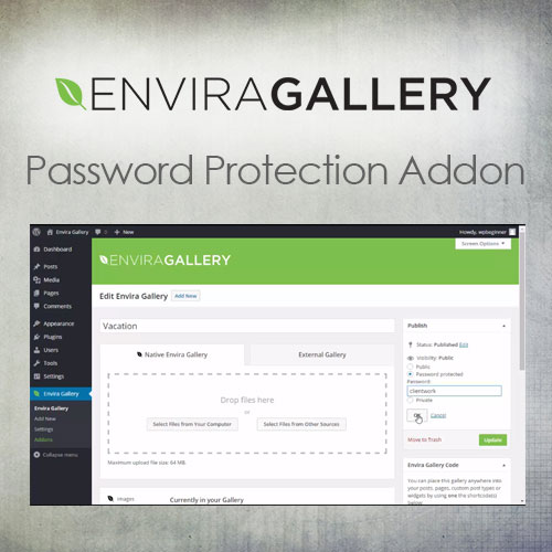 Envira Gallery - Password Protection Addon - Download $4.49