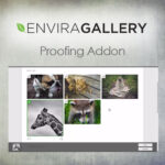 Envira Gallery - Proofing Addon - Download $4.49