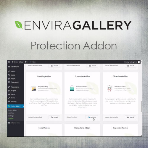 Envira Gallery - Protection Addon - Download $4.49