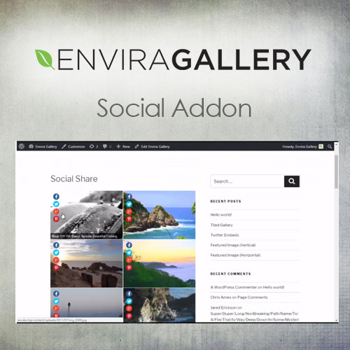 Envira Gallery - Social Addon - Download $4.49