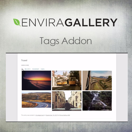 Envira Gallery - Tags Addon - Download $4.49