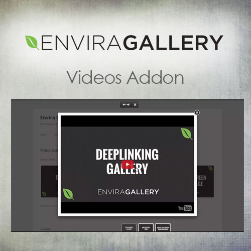 Envira Gallery - Videos Addon - Download $4.49