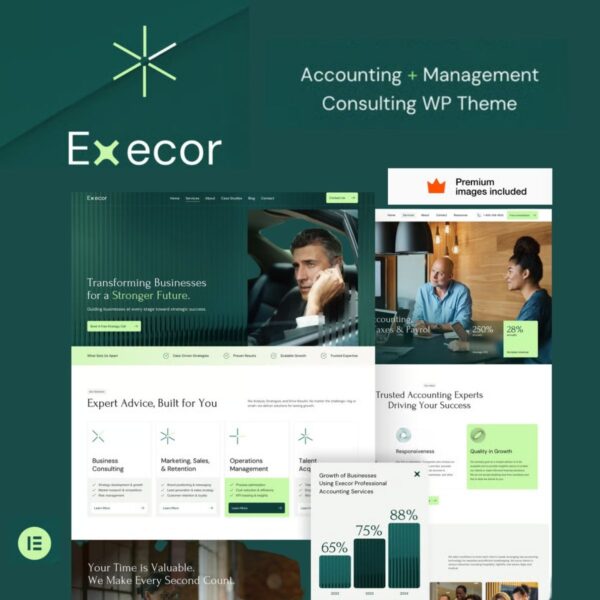 Execor – Accounting and Management Consulting WordPress Theme $4.49