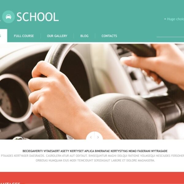 Free Traffic School Responsive WordPress Theme