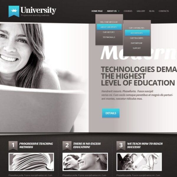 Free WordPress Theme for University & College Website