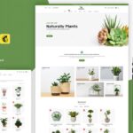 Greenesta Organic – Food & Grocery Store WooCommerce Theme