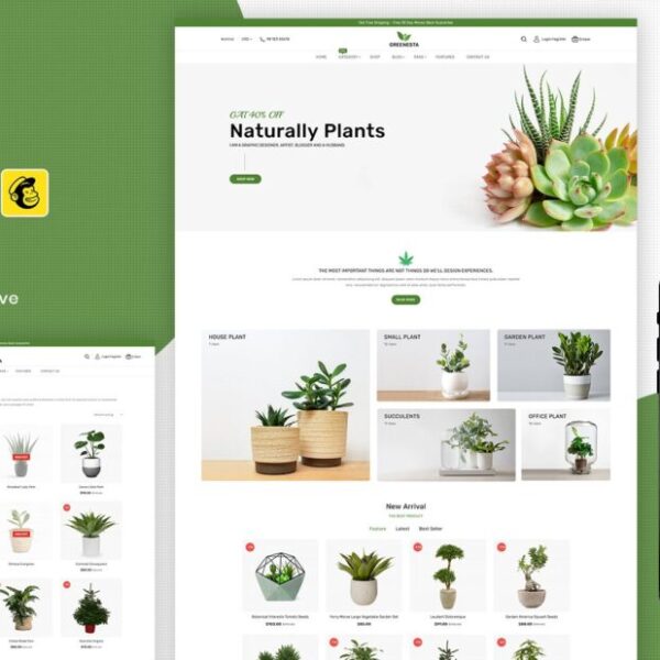 Greenesta Organic – Food & Grocery Store WooCommerce Theme