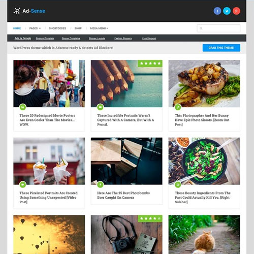 MyThemeShop Ad-Sense WordPress Theme - Download $4.49