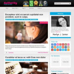 MyThemeShop Authority WordPress Theme - Download $4.49