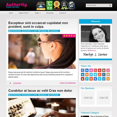 MyThemeShop Authority WordPress Theme - Download $4.49