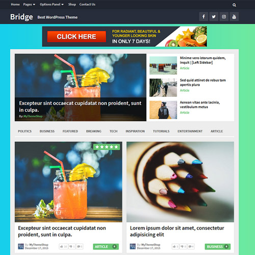 MyThemeShop Bridge WordPress Theme - Download $4.49 MyThemeShop Bridge WordPress Theme - Download $4.49