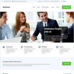 MyThemeShop Business WordPress Theme - Download $4.49