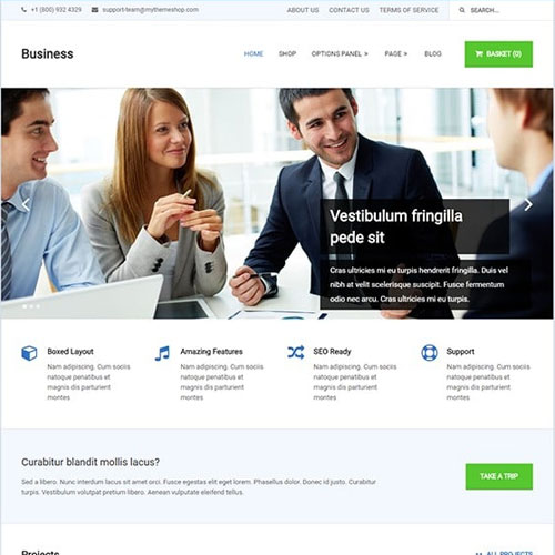 MyThemeShop Business WordPress Theme - Download $4.49