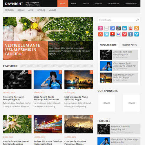 MyThemeShop Daynight WordPress Theme - Download $4.49