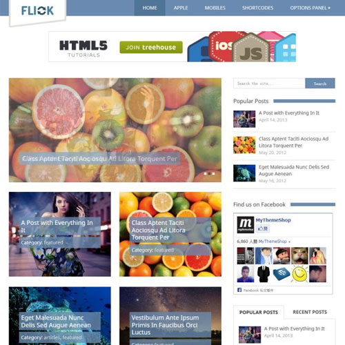 MyThemeShop Flick WordPress Theme - Download $4.49