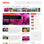 MyThemeShop Frontpage WordPress Theme - Download $4.49