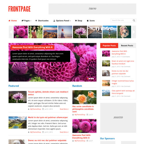 MyThemeShop Frontpage WordPress Theme - Download $4.49