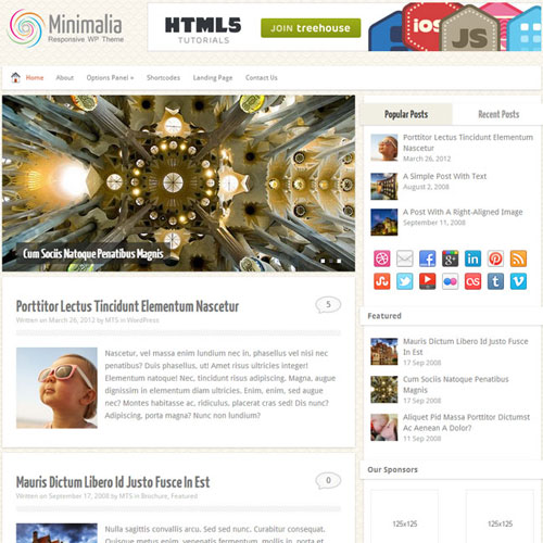 MyThemeShop Minimalia WordPress Theme - Download $4.49