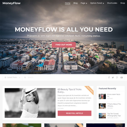 MyThemeShop MoneyFlow WordPress Theme - Download $4.49